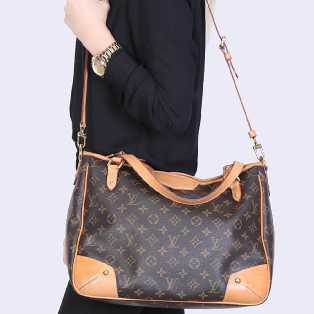 Louis Vuitton Brown Monogram Tote Bag - Picture 11 of 16